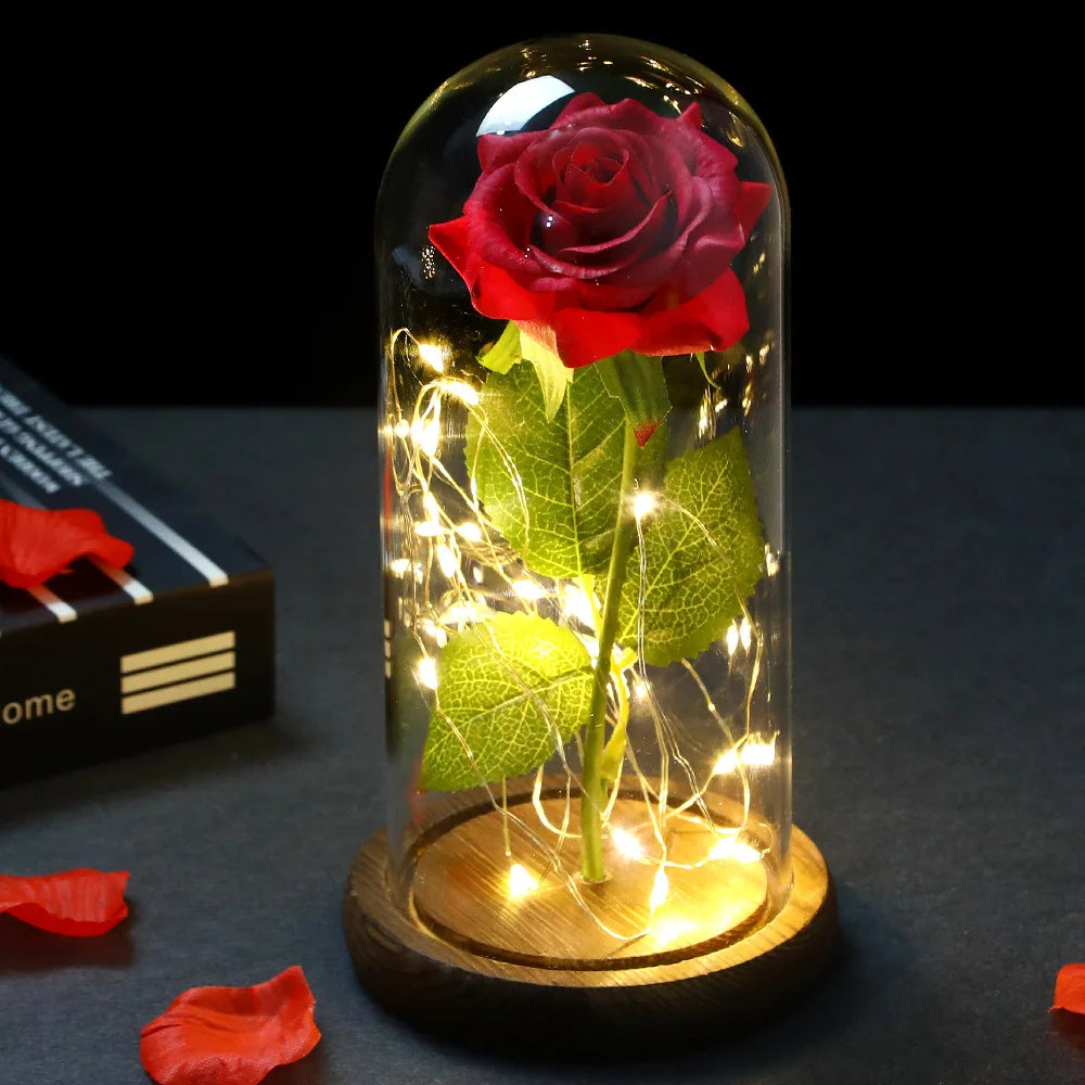 Rose Flower With Fairy String Lights In Dome For Christmas Valentine's Day Gift