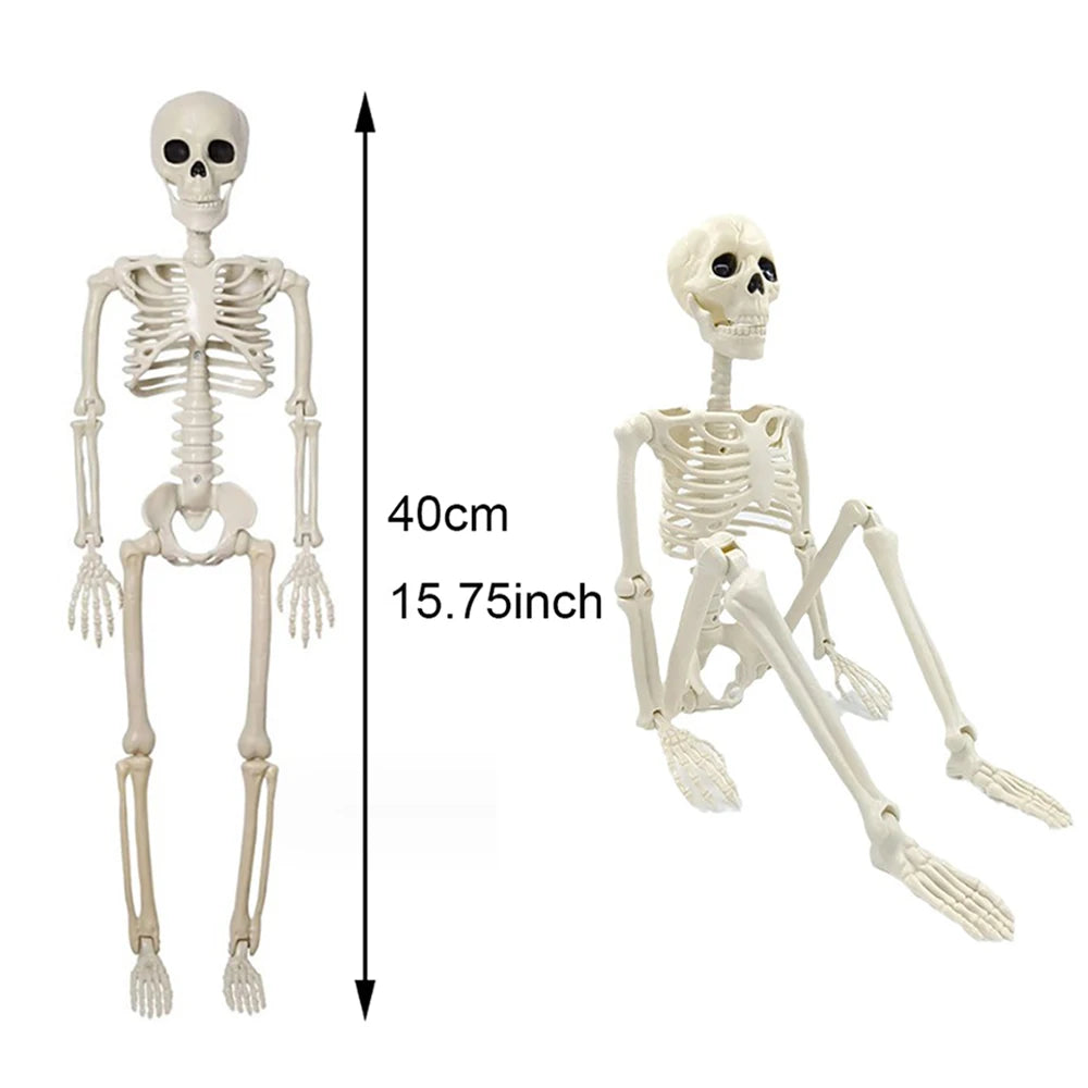 40cm Halloween Human Shape Skeleton,Posable Skeleton,Human Shape Bones