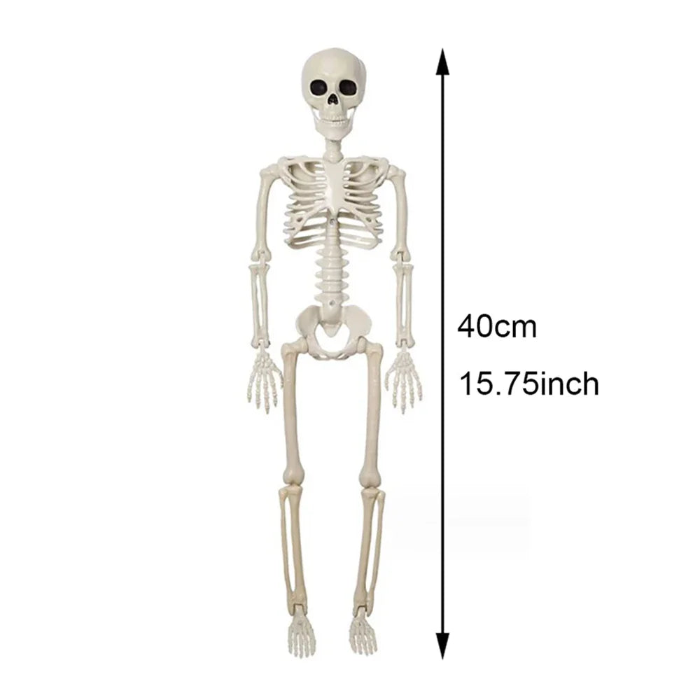 40cm Halloween Human Shape Skeleton,Posable Skeleton,Human Shape Bones