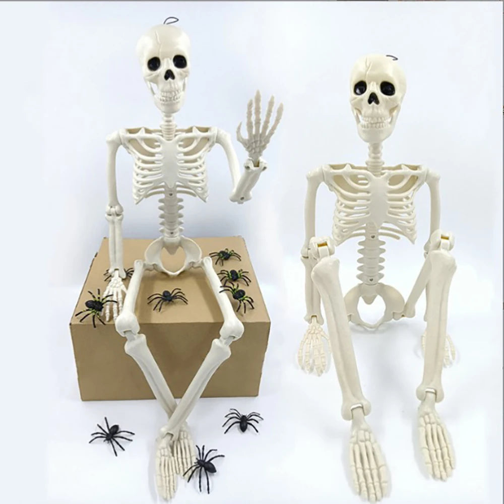 40cm Halloween Human Shape Skeleton,Posable Skeleton,Human Shape Bones