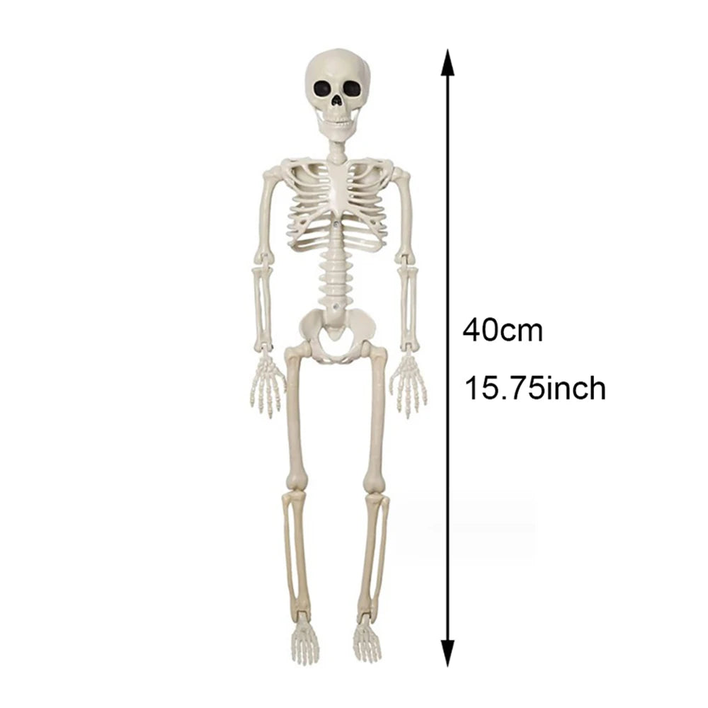 40cm Halloween Human Shape Skeleton,Posable Skeleton,Human Shape Bones