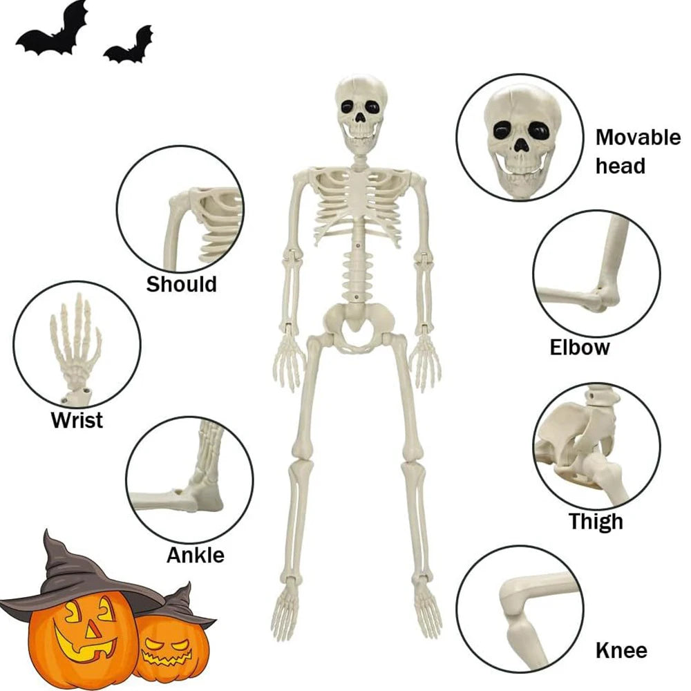 40cm Halloween Human Shape Skeleton,Posable Skeleton,Human Shape Bones