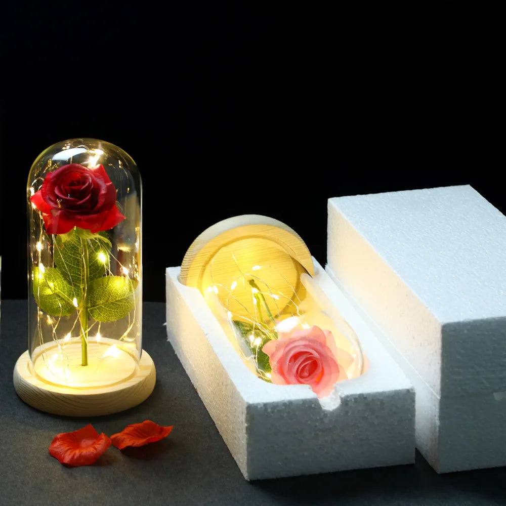 Rose Flower With Fairy String Lights In Dome For Christmas Valentine's Day Gift