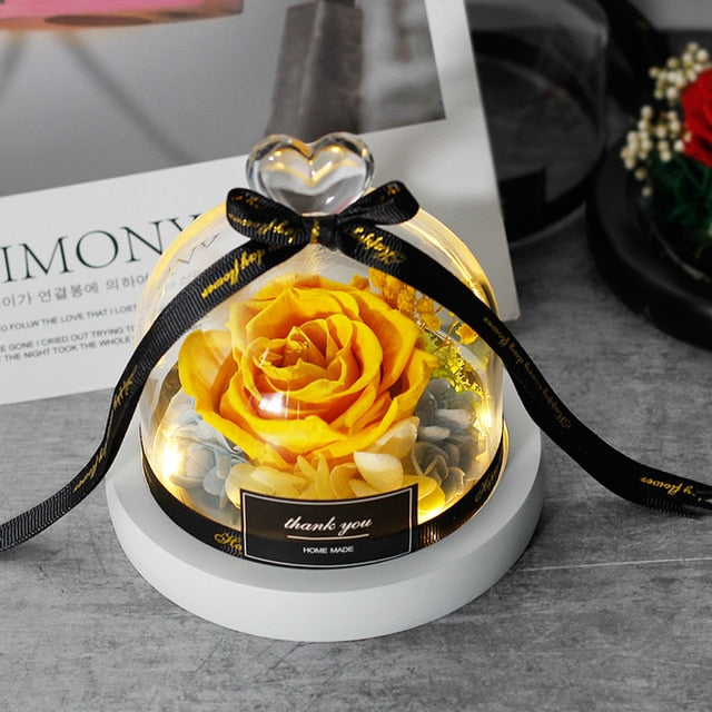 Beauty And The Beast Preserved Valentines Day Gift