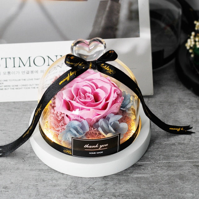 Beauty And The Beast Preserved Valentines Day Gift