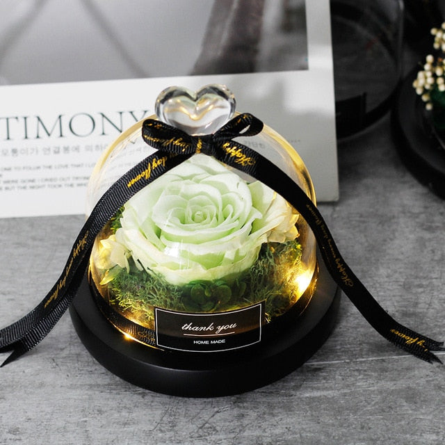 Beauty And The Beast Preserved Valentines Day Gift