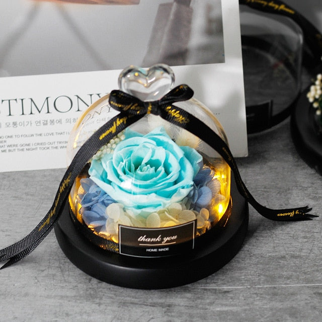 Beauty And The Beast Preserved Valentines Day Gift