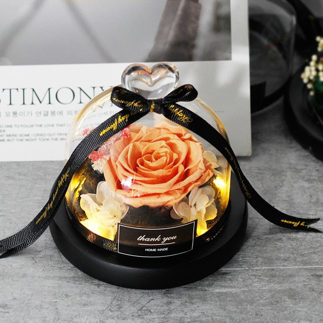 Beauty And The Beast Preserved Valentines Day Gift