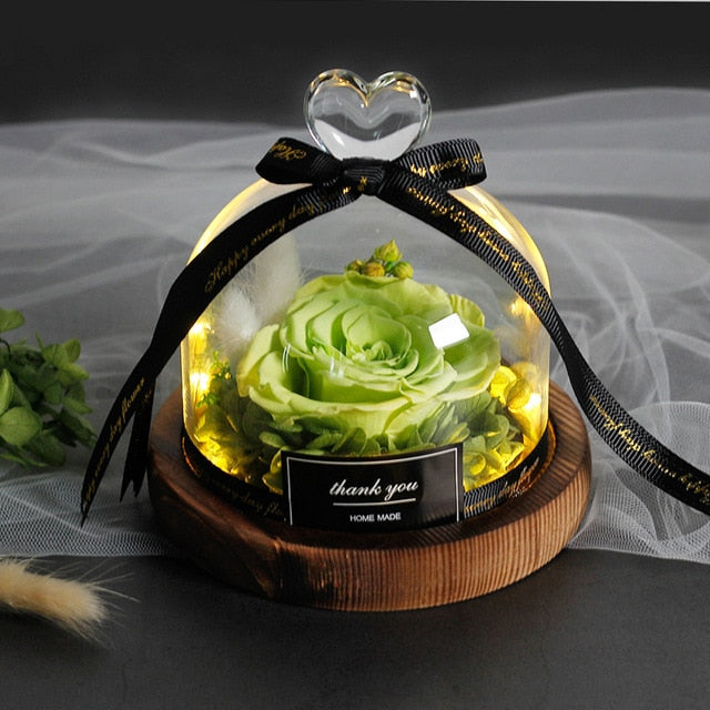 Beauty And The Beast Preserved Valentines Day Gift
