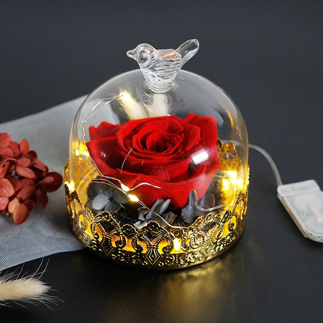 Beauty And The Beast Preserved Valentines Day Gift