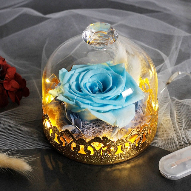 Beauty And The Beast Preserved Valentines Day Gift