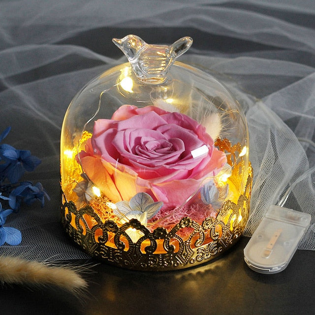 Beauty And The Beast Preserved Valentines Day Gift