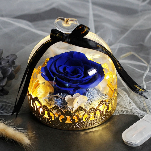 Beauty And The Beast Preserved Valentines Day Gift