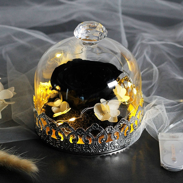 Beauty And The Beast Preserved Valentines Day Gift