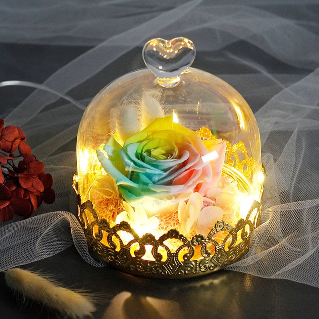Beauty And The Beast Preserved Valentines Day Gift