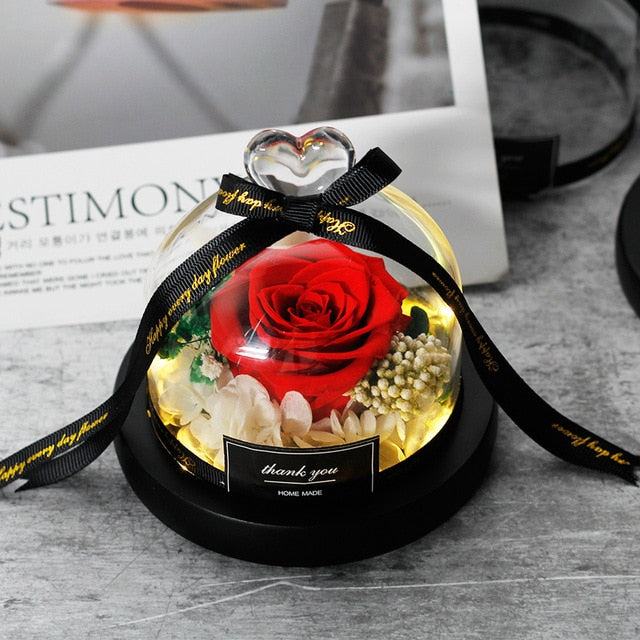 Beauty And The Beast Preserved Valentines Day Gift