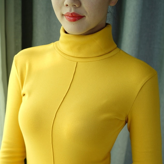 Skinny Winter Turtleneck Long Sleeve Women Pullover
