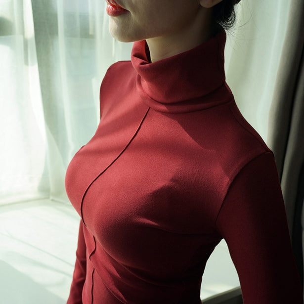 Skinny Winter Turtleneck Long Sleeve Women Pullover
