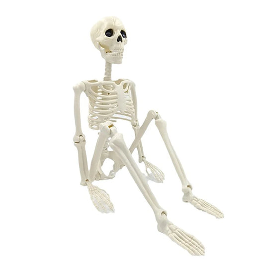 40cm Halloween Human Shape Skeleton,Posable Skeleton,Human Shape Bones