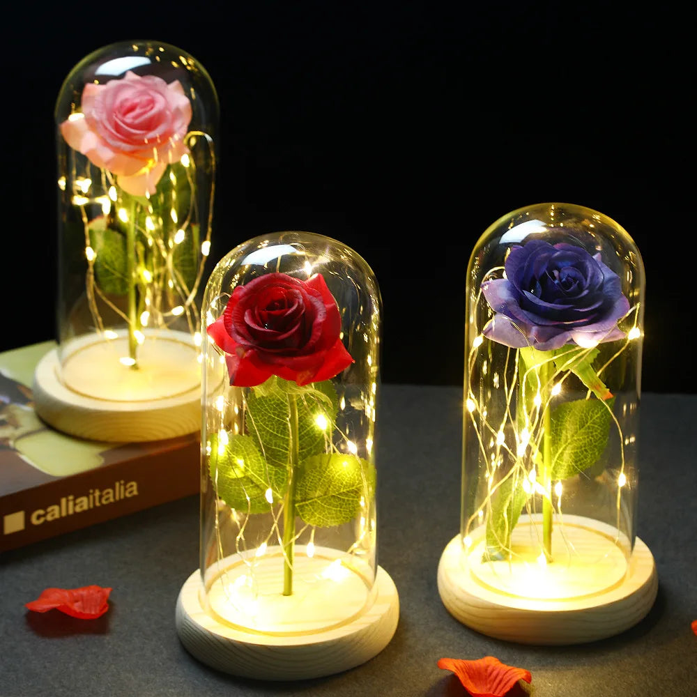 Rose Flower With Fairy String Lights In Dome For Christmas Valentine's Day Gift